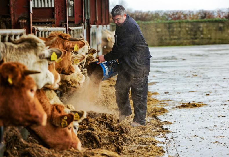 My Farming Week: Michael Brady, Glenballyma, Kilflynn, Co Kerry 02 November  2022 Free